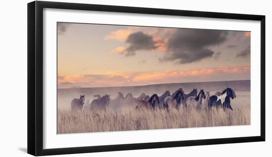 Wild and Free II-null-Framed Photographic Print