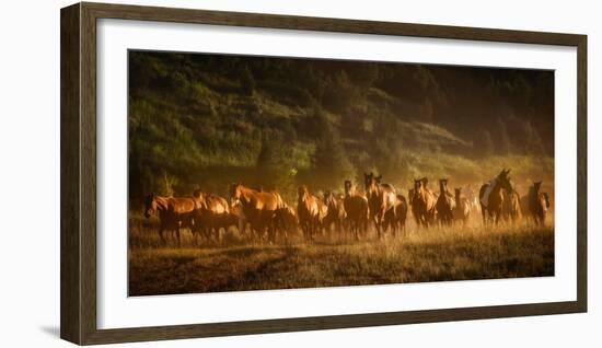 Wild and Free III-null-Framed Photographic Print