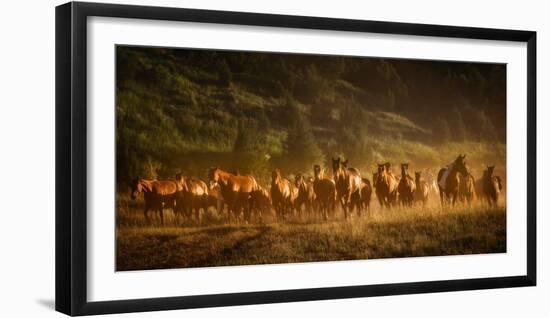 Wild and Free III-null-Framed Photographic Print