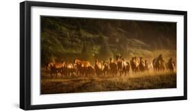 Wild and Free III-null-Framed Photographic Print