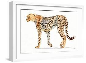 Wild and Free VII Bold-James Wiens-Framed Art Print