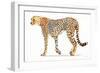 Wild and Free VII Bold-James Wiens-Framed Premium Giclee Print