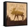 Wild and Free-Arnie Fisk-Framed Stretched Canvas