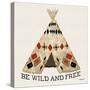 Wild and Free-Nicholas Biscardi-Stretched Canvas