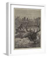 Wild Animal Life, a Race for Life-null-Framed Giclee Print
