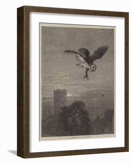 Wild Animal Life, Catching a Tartar-null-Framed Giclee Print