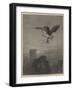 Wild Animal Life, Catching a Tartar-null-Framed Giclee Print