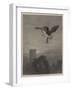 Wild Animal Life, Catching a Tartar-null-Framed Giclee Print