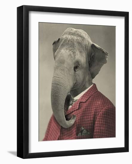 Wild Animals #1-J Hovenstine Studios-Framed Giclee Print