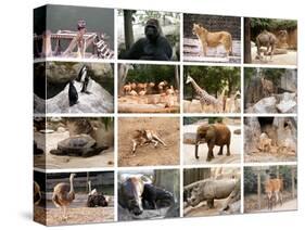 Wild Animals Collage-miff32-Stretched Canvas
