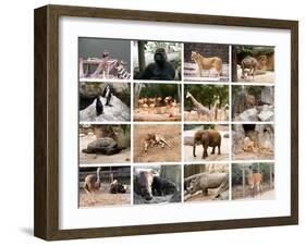 Wild Animals Collage-miff32-Framed Art Print