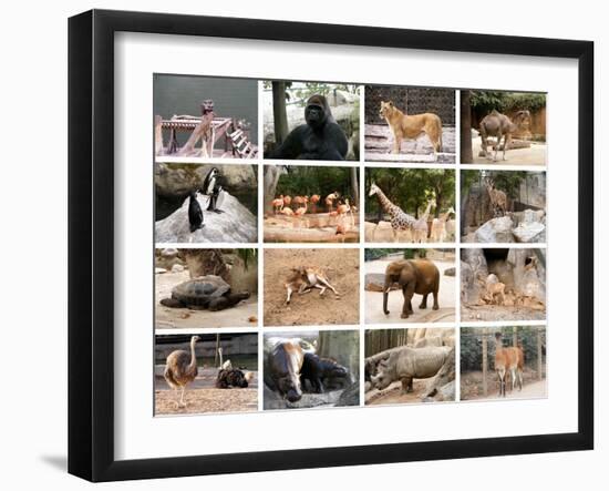 Wild Animals Collage-miff32-Framed Art Print