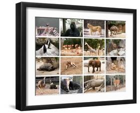 Wild Animals Collage-miff32-Framed Art Print