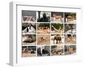 Wild Animals Collage-miff32-Framed Art Print