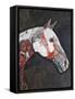 Wild Appaloosa II-Coco Good-Framed Stretched Canvas