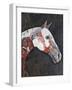 Wild Appaloosa II-Coco Good-Framed Art Print