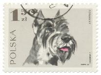 Poland Stamp I on White-Wild Apple Portfolio-Art Print