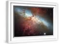 White Frame