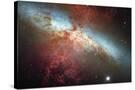 Stretched Canvas