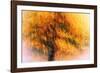 Wild Apple Tree-Ursula Abresch-Framed Photographic Print