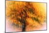Wild Apple Tree-Ursula Abresch-Mounted Photographic Print