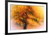 Wild Apple Tree-Ursula Abresch-Framed Photographic Print