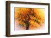 Wild Apple Tree-Ursula Abresch-Framed Photographic Print