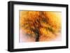 Wild Apple Tree-Ursula Abresch-Framed Photographic Print