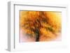 Wild Apple Tree-Ursula Abresch-Framed Photographic Print