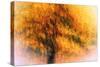 Wild Apple Tree-Ursula Abresch-Stretched Canvas