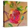 Wild Apple-Elizabeth St. Hilaire-Stretched Canvas