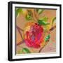 Wild Apple-Elizabeth St. Hilaire-Framed Art Print