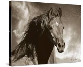 Wild as the Wind-Barry Hart-Stretched Canvas