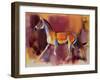 Wild Ass, Rann of Kutch, 1996-Mark Adlington-Framed Giclee Print