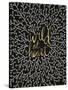 Wild at Heart - Black and Gold Palette-Cat Coquillette-Stretched Canvas