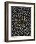 Wild at Heart - Black and Gold Palette-Cat Coquillette-Framed Art Print