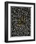 Wild at Heart - Black and Gold Palette-Cat Coquillette-Framed Art Print