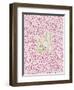 Wild at Heart - Pink and Gold Palette-Cat Coquillette-Framed Art Print