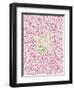 Wild at Heart - Pink and Gold Palette-Cat Coquillette-Framed Art Print