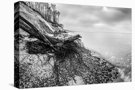 Wild Beach with Fallen Tree and Cliffs on a Winter, Cloudy Day. Waves on the Sea. Black and White.-Michal Bednarek-Stretched Canvas