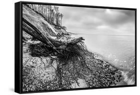 Wild Beach with Fallen Tree and Cliffs on a Winter, Cloudy Day. Waves on the Sea. Black and White.-Michal Bednarek-Framed Stretched Canvas