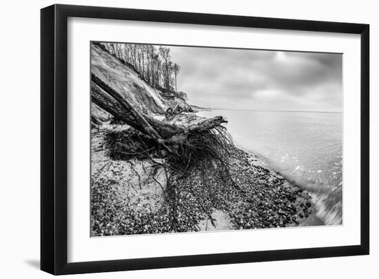 Wild Beach with Fallen Tree and Cliffs on a Winter, Cloudy Day. Waves on the Sea. Black and White.-Michal Bednarek-Framed Photographic Print