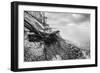 Wild Beach with Fallen Tree and Cliffs on a Winter, Cloudy Day. Waves on the Sea. Black and White.-Michal Bednarek-Framed Photographic Print