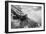 Wild Beach with Fallen Tree and Cliffs on a Winter, Cloudy Day. Waves on the Sea. Black and White.-Michal Bednarek-Framed Photographic Print