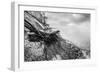 Wild Beach with Fallen Tree and Cliffs on a Winter, Cloudy Day. Waves on the Sea. Black and White.-Michal Bednarek-Framed Photographic Print