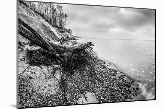 Wild Beach with Fallen Tree and Cliffs on a Winter, Cloudy Day. Waves on the Sea. Black and White.-Michal Bednarek-Mounted Photographic Print