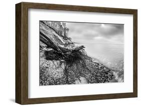 Wild Beach with Fallen Tree and Cliffs on a Winter, Cloudy Day. Waves on the Sea. Black and White.-Michal Bednarek-Framed Photographic Print