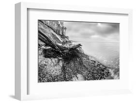 Wild Beach with Fallen Tree and Cliffs on a Winter, Cloudy Day. Waves on the Sea. Black and White.-Michal Bednarek-Framed Photographic Print