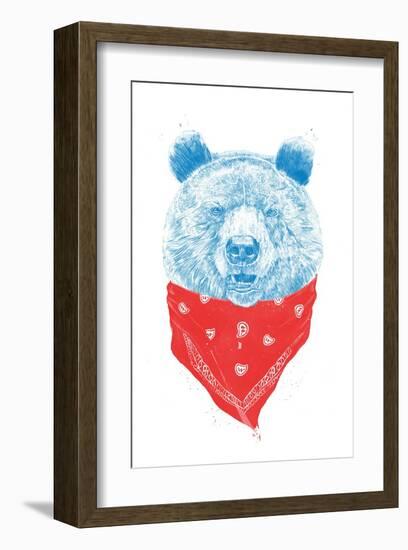 Wild Bear-Balazs Solti-Framed Art Print