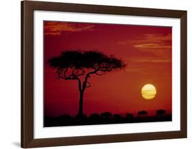 Wild Beast Migration, Masai Mara, Kenya-Dee Ann Pederson-Framed Art Print